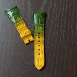 Two-Tone Green-Yellow Croco