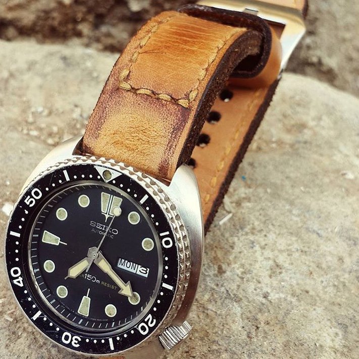 Seiko Straps - Caitlin 2 Serie