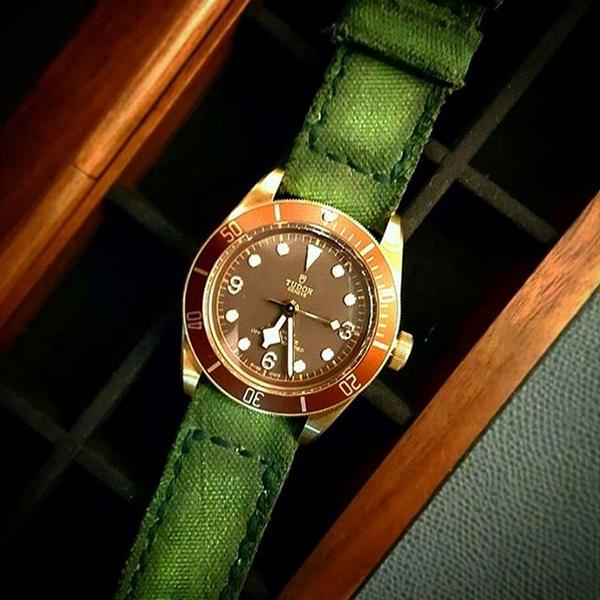 Tudor Straps - Canvas Verte