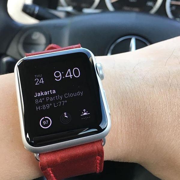 Apple Watch Straps - Vintage Red